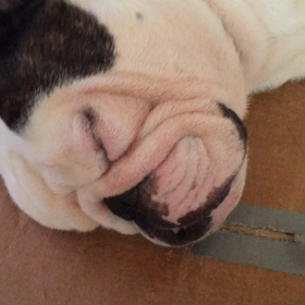 水遊びの後の画像