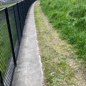 1歩　2歩　散歩…の画像