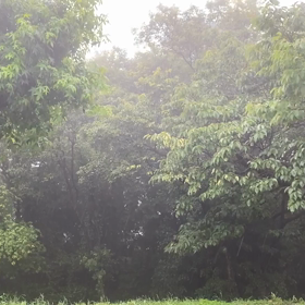 “自然と音遊び” プロジェクト vol.038！の画像