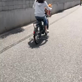 柴犬さんと （＾◇＾）の画像