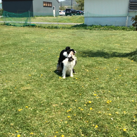 本当に仲良いのか？の画像