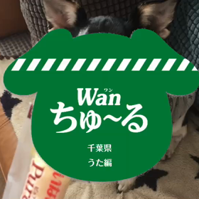 目指せ！！CMデビューの画像