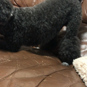 ニコニコニコの画像