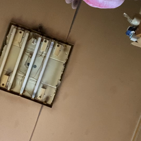 なさかさの画像