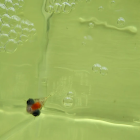 なんでだろ。の画像