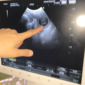 みぃとの記録の画像