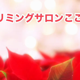 12月　〜スライドショー〜の画像