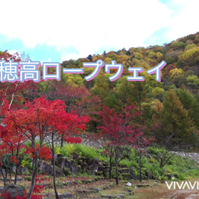 自然の描く絵画『紅葉と雪景色』の画像