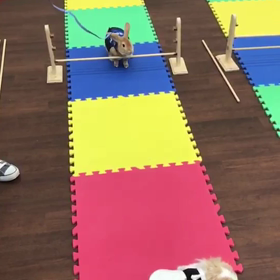 らんらんの勇姿！の画像