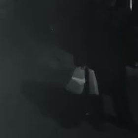 政治屋さんは全部詐欺師の画像