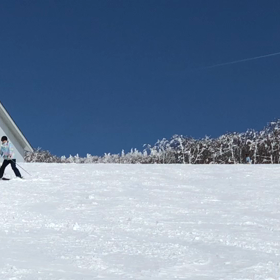 ライザ～の画像