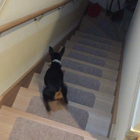 上りがあれば下りも・・・の画像