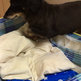 第2の子育ての画像