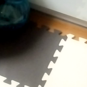 ハムスターボールの画像