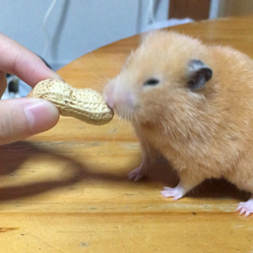 そうだったっけ？の画像