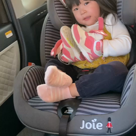 ノリノリ( 'ω' و(و"♪の画像