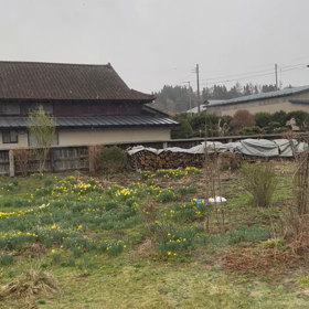 雪の果ての画像