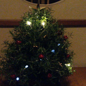 クリスマスツリー完成の画像