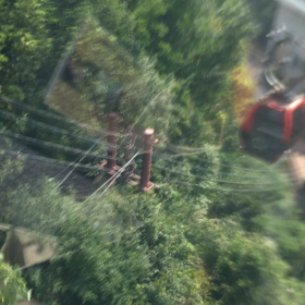 神戸ハーブ園の画像