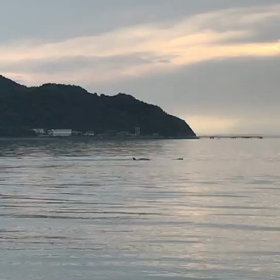 この記事の画像