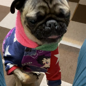 お久しぶりにの画像