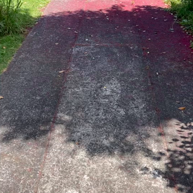 天然クリスマスツリーと栄喜Vの画像