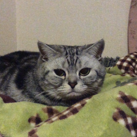 初☆動画の画像