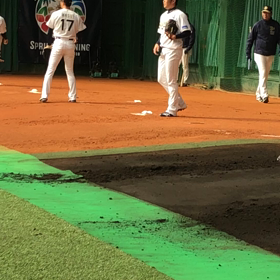 水曜日かぁーの画像