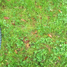 「さすらい」の画像