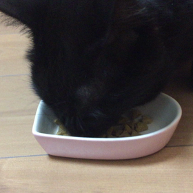 クロねーちゃんの丸呑み動画の画像