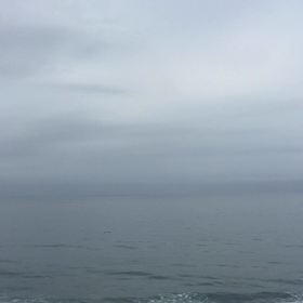 ドルフィンセラピー？！の画像