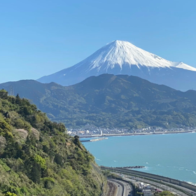 11/23の気になるMovieの画像