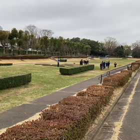 往復ダッシュ(Bグループ)②の画像