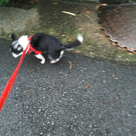 雨やんで。の画像