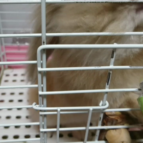 「ツケ」解決！！の画像