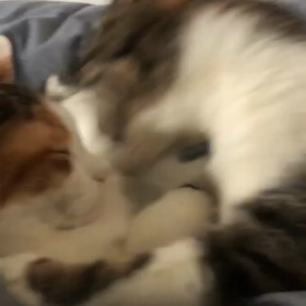 微妙な関係の画像