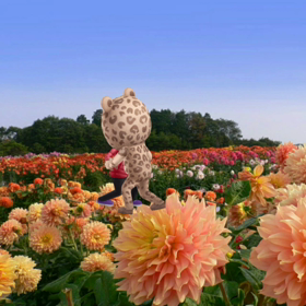 (ヽ´ω`)ﾊｧ…の画像