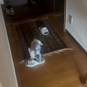 帰りたいよーの画像