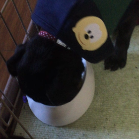 落ち着いたの画像