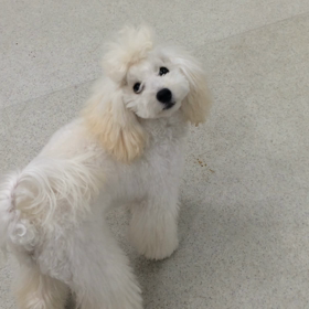 ♪プレイルーム動画♪の画像