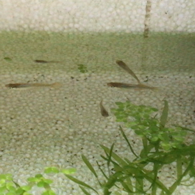 New! 仲間入り～の画像