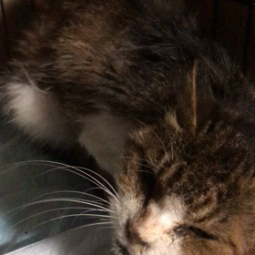 明日美ちゃんの様子の画像