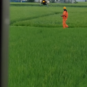 ★地上散布？★の画像