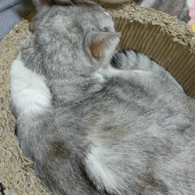 迷惑です ②の画像