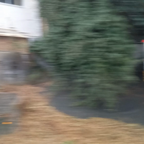 2024/01/25の画像