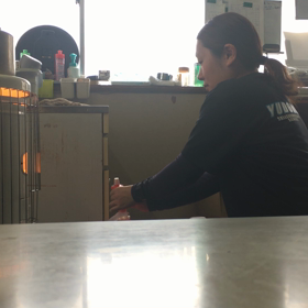 東北の女の画像