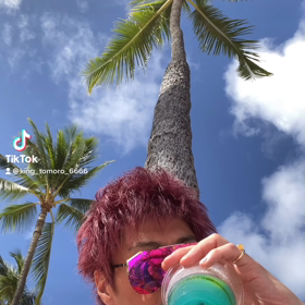ハワイへの旅行客が激減…の画像