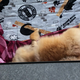 隠し撮りバレたの画像