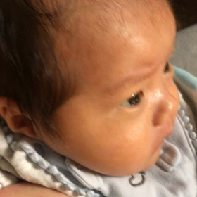 おっぱいくれー☆彡の画像