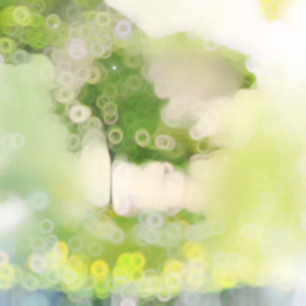 自然とともに✨の画像